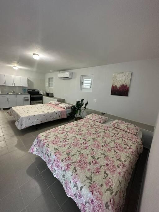 Oceanview 2 Apartment Guayama Ngoại thất bức ảnh